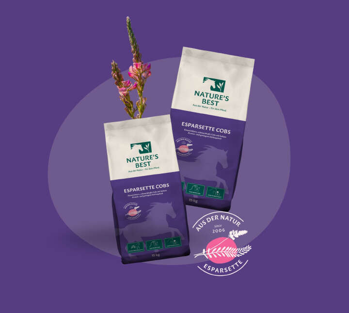 RAIF Markenwelt NB Esparsettebanner 2228x2000px